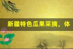 新疆特色瓜果采摘,体验丰收乐趣