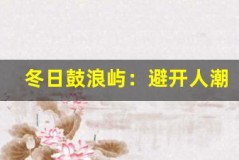 冬日鼓浪屿:避开人潮,享受慵懒时光