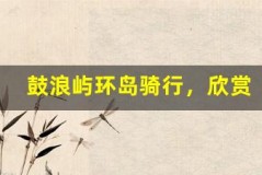 鼓浪屿环岛骑行,欣赏一路美景