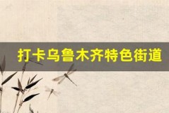打卡乌鲁木齐特色街道，感受城市风情
