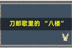 刀郎歌里的 “八楼”:乌鲁木齐打卡点揭秘