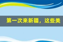第一次来新疆,这些美食千万别错过