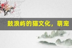 鼓浪屿的猫文化,萌宠出没的治愈角落