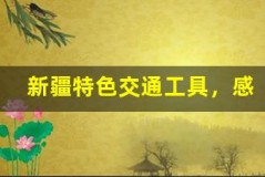 新疆特色交通工具,感受别样出行