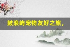 鼓浪屿宠物友好之旅,带萌宠一起玩