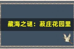藏海之谜:菽庄花园里的园林奇景
