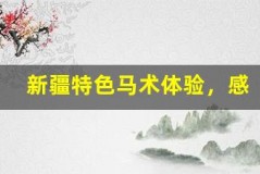 新疆特色马术体验,感受马背豪情